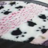 Onitiva - [Pretty Girl] Patchwork Rugs (27.6 by 15.7 inches)