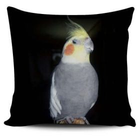 Cute Bird Pillow Cushion