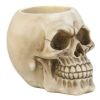 Skull Desktop Pen Holder