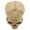 Grinning Skull