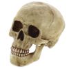 Grinning Skull