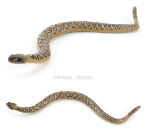 Simulation Wild Crawling Amphibian Cold-blooded Animal Model Children's Mini Python Rattlesnake Decoration Toys (Option: T15096 Snake 10G)